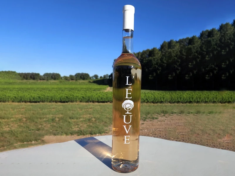 Magnum de rosé 2024 (33€/magnum) Vendu par carton de 3