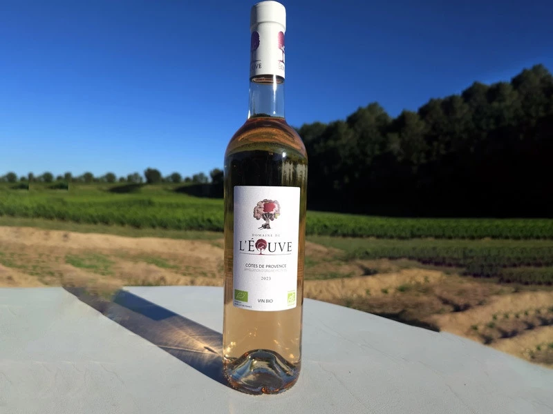 Rosé 2024 (13.10€ / bouteille) Vendu par carton de 6