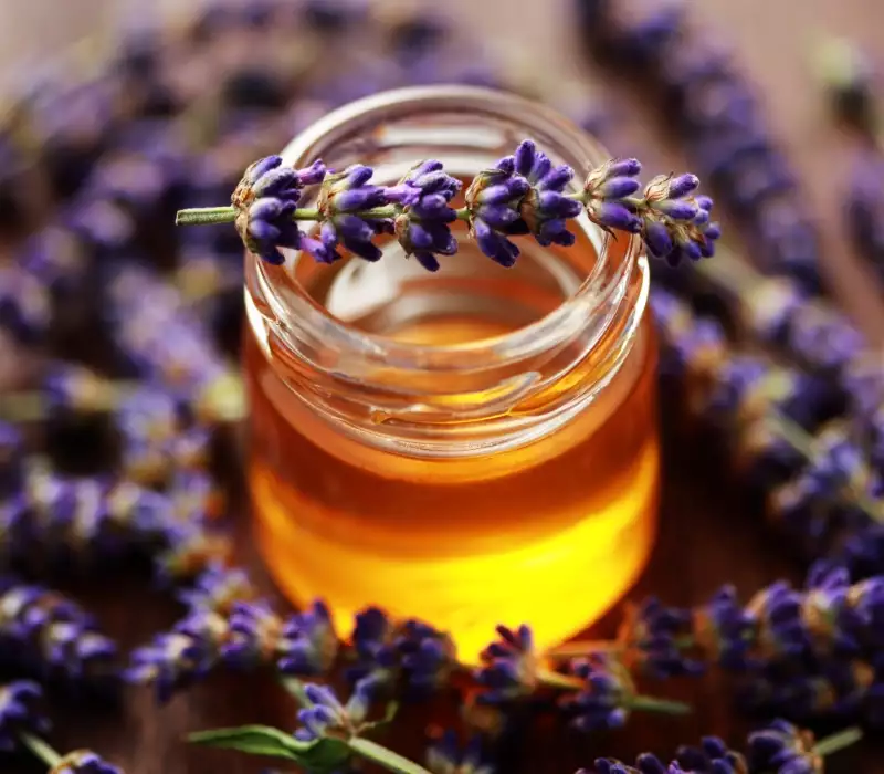 Miel de lavande